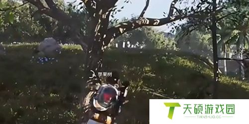 《七日世界》雪国人生苹果获得方法