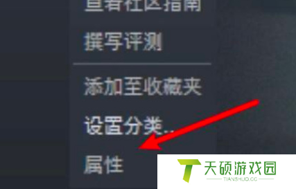 猎天使魔女2中文如何设置（猎天使魔女2中文设置方法一览）