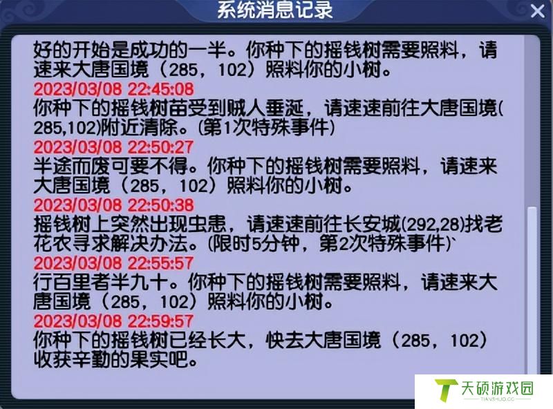 摇钱树树苗如何浇水（摇钱树树苗如何种出五宝）
