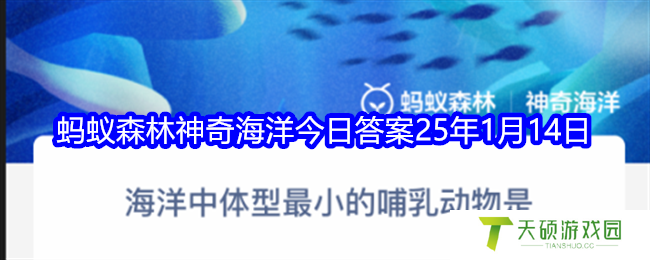 海洋中体型最小的哺乳动物是