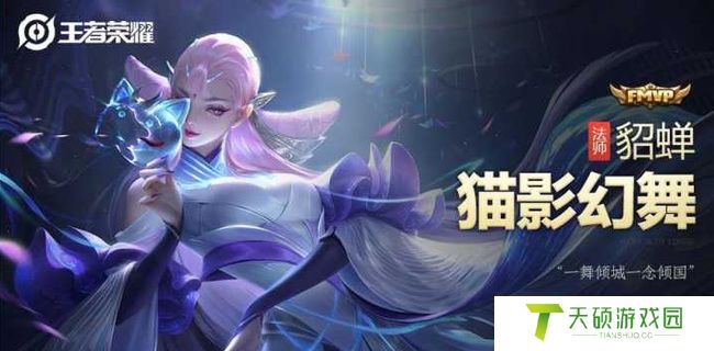 王者荣耀fmvp皮肤是怎么选出来的（fmvp皮肤是什么意思啊）