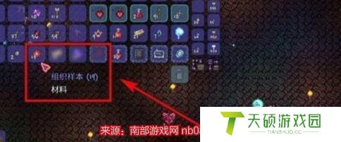 泰拉瑞亚组织样本在哪里获取（获得组织样本的方法图解）