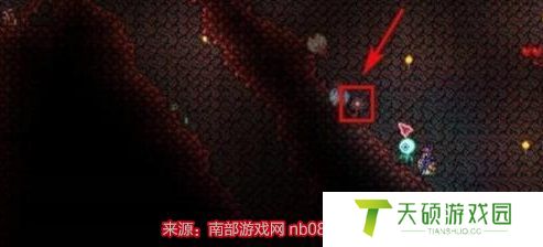 泰拉瑞亚组织样本在哪里获取（获得组织样本的方法图解）