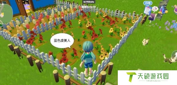 《心动小镇》虞美人杂交攻略一览