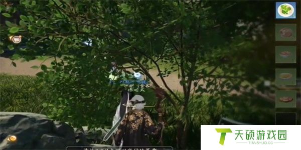 《射雕》红尘戏鱼脍尝鲜任务攻略