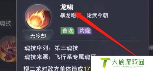 斗罗大陆魂师对决柳二龙怎么连续放技能（连续释放大招的操作方法）