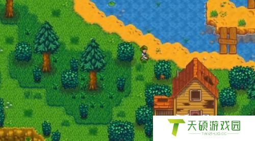星露谷物语果树攻略