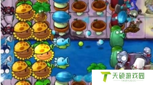 植物大战僵尸杂交版冒险32关攻略
