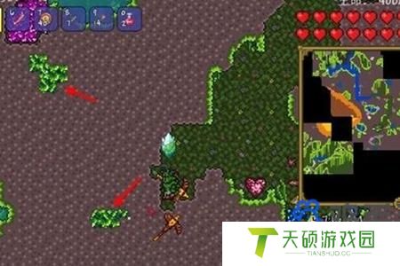 泰拉瑞亚叶绿锭合成制作攻略