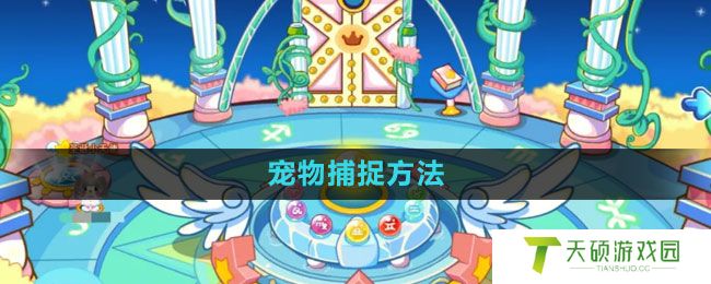 《奥比岛》宠物捕捉方法