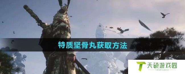《黑神话悟空》特质坚骨丸获取方法