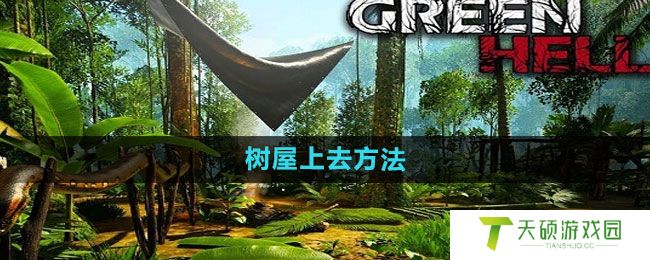 《绿色地狱》树屋上去方法