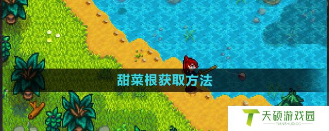 《星露谷物语》甜菜根获取方法
