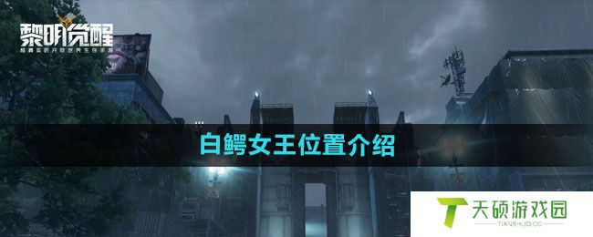 《黎明觉醒》白鳄女王位置介绍