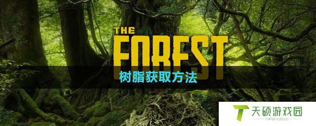 《森林》树脂获取方法