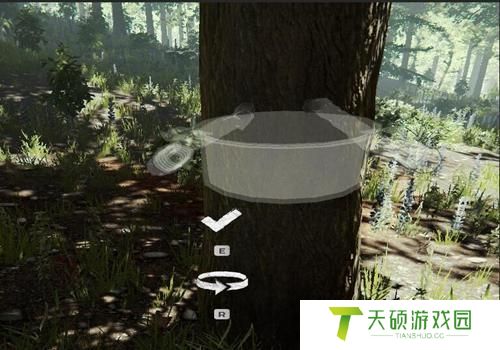 《森林》树脂获取方法
