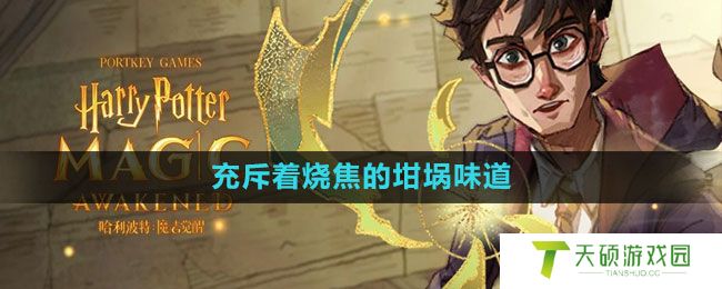 《哈利波特：魔法觉醒》充斥着烧焦的坩埚味道拼图位置