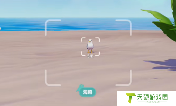 《心动小镇》贝莉筹建任务攻略