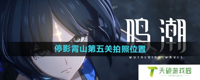 《鸣潮》停影霄山第五关拍照位置一览