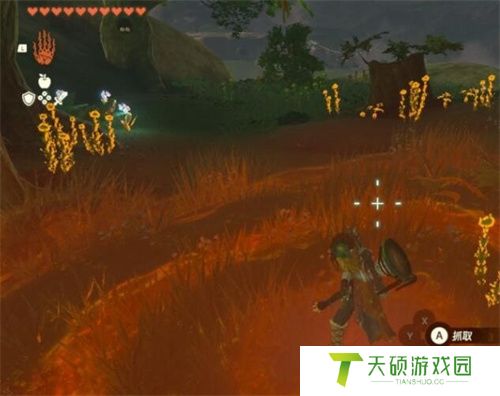 塞尔达传说王国之泪暖暖草果在哪采摘