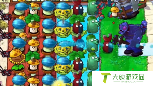 植物大战僵尸杂交版冒险44关攻略