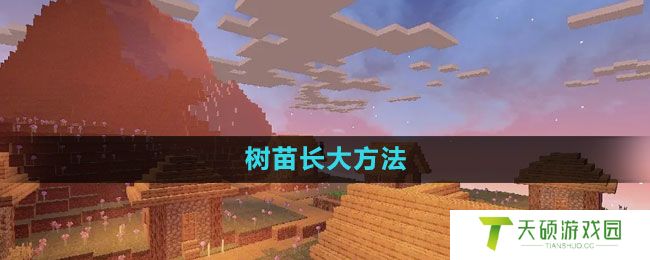 《我的世界》树苗长大方法