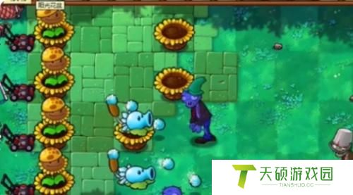 植物大战僵尸杂交版冒险38关攻略