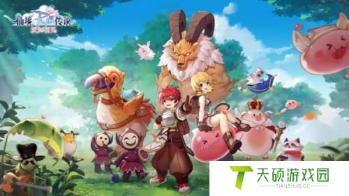 仙境传说新启航抓宠攻略