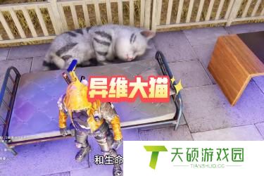 七日世界异维大猫获取方法