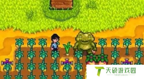 星露谷物语青蛙宠物获得攻略