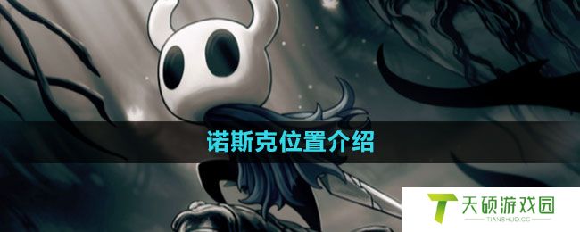 《空洞骑士》诺斯克位置介绍