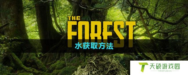 《森林》水获取方法