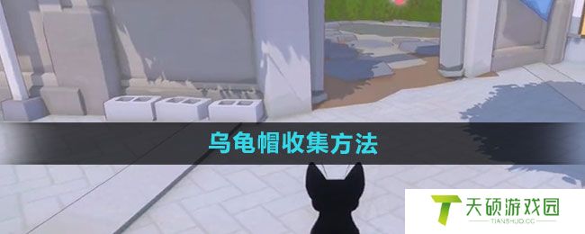 《小猫咪大城市》乌龟帽收集方法