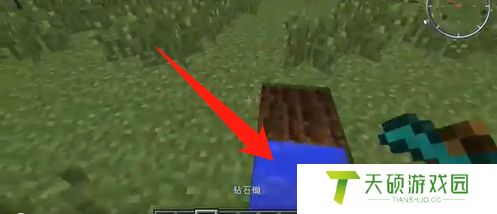《我的世界》种植土地方法