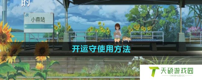 《小森生活》开运守使用方法