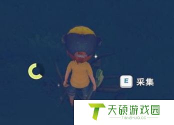 《波西亚时光》硬木获取方法