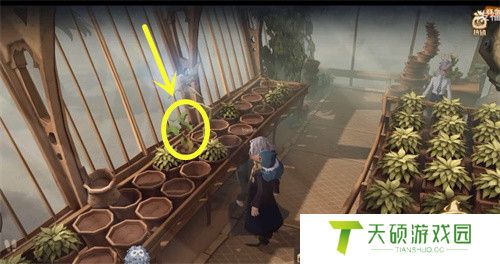 《哈利波特：魔法觉醒》你时常能见到拼图位置