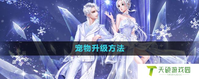 《QQ炫舞》宠物升级方法
